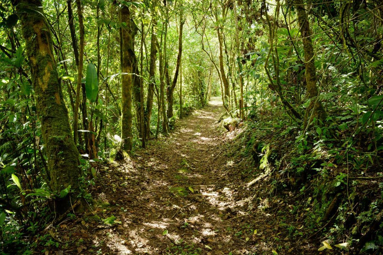 Talamanca Nature Reserve Rivas Eksteriør billede