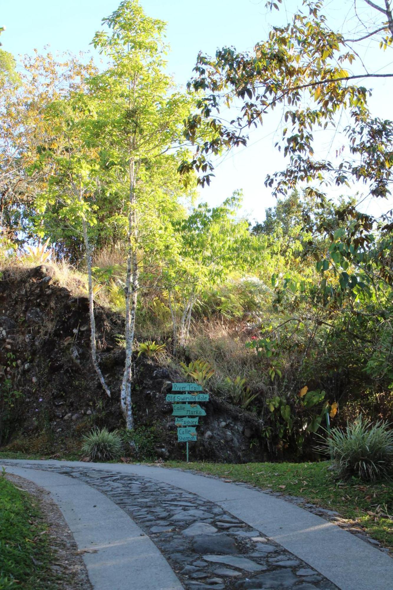 Talamanca Nature Reserve Rivas Eksteriør billede