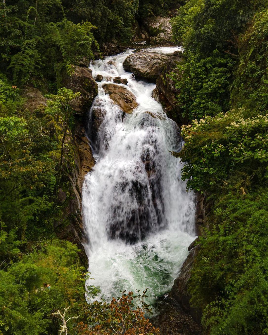 Talamanca Nature Reserve Rivas Eksteriør billede