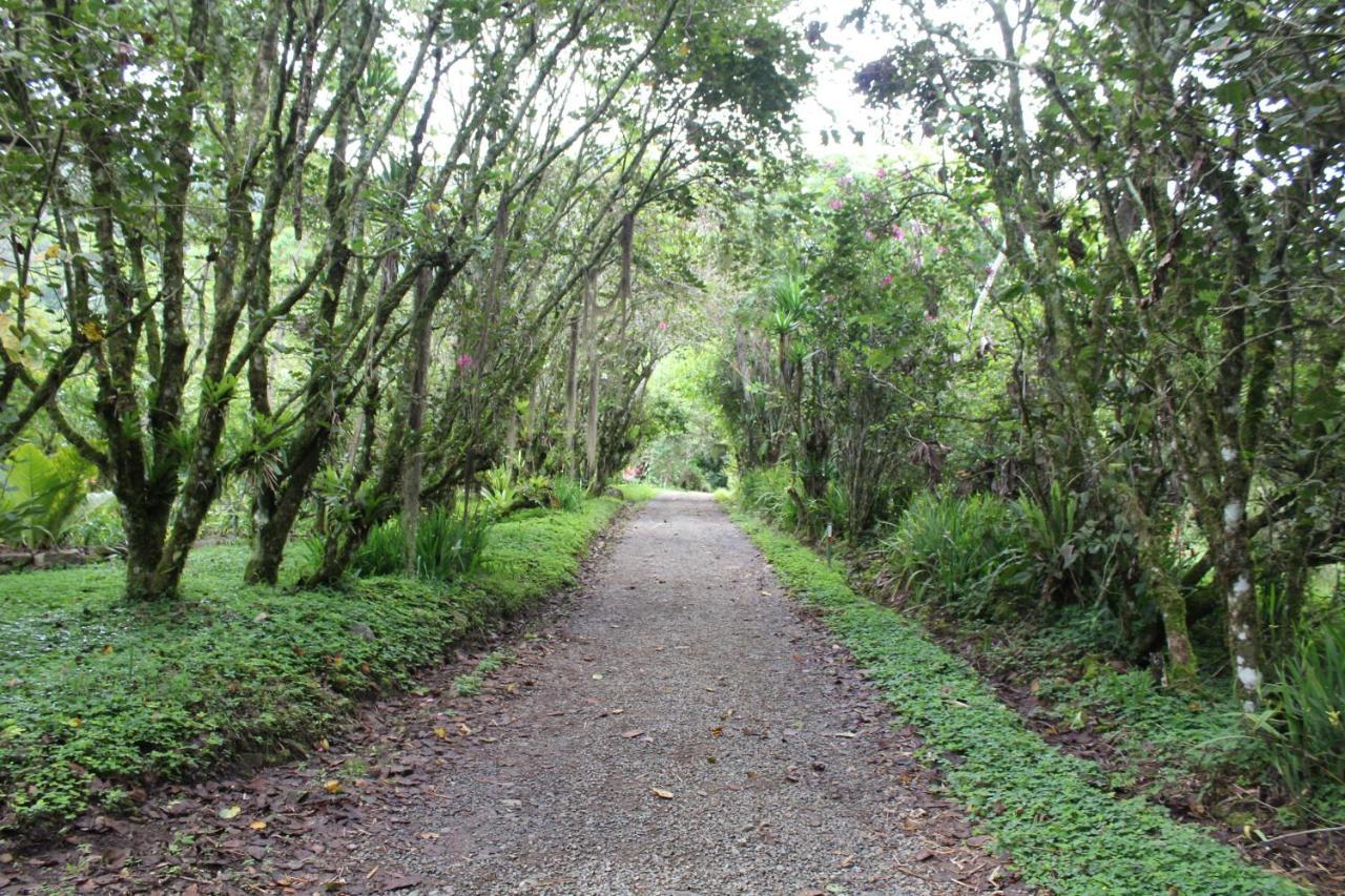 Talamanca Nature Reserve Rivas Eksteriør billede